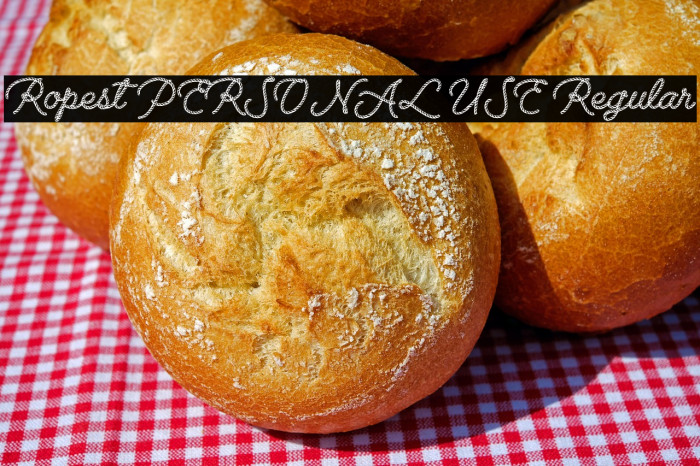 Ropest PERSONAL USE Regular Example 2