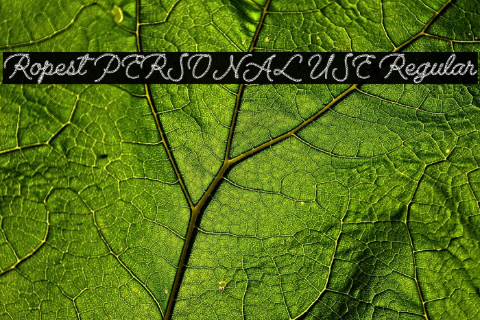 Ropest PERSONAL USE Regular Example 3