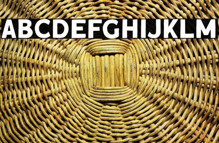 RoquenDEMO Example 3