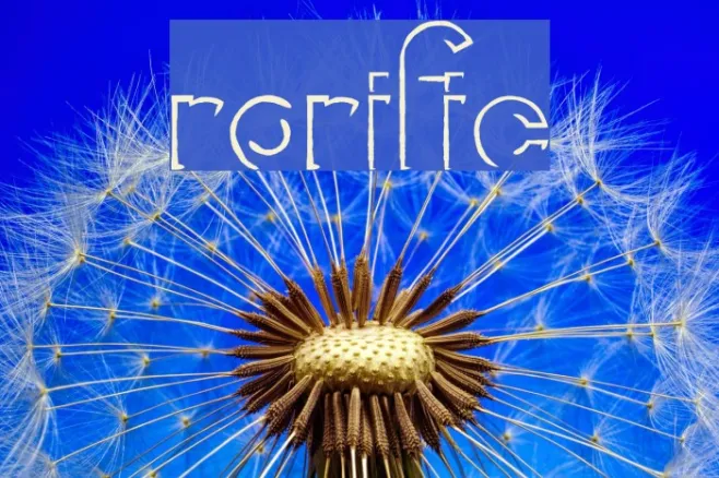 Rorific Example 1