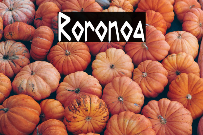 Roronoa Example 3