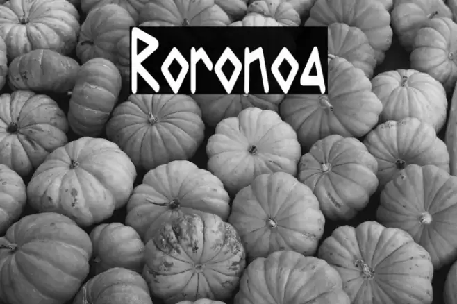Roronoa Font examples