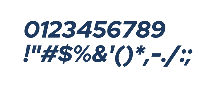 Rosa Sans Black Italic Other Characters