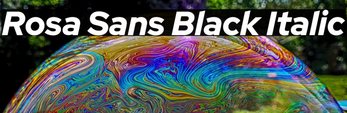 Rosa Sans Black Italic Example 1