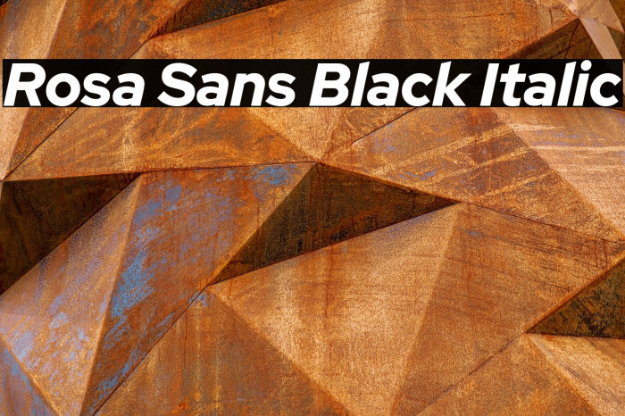 Rosa Sans Black Italic Example 2