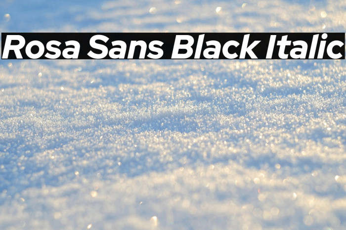 Rosa Sans Black Italic Example 3