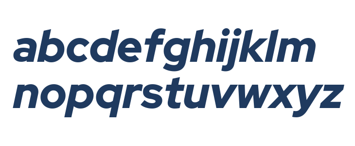 Rosa Sans Black Italic Lowercase