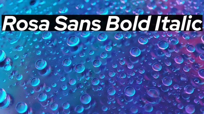 Rosa Sans Bold Italic Example 1