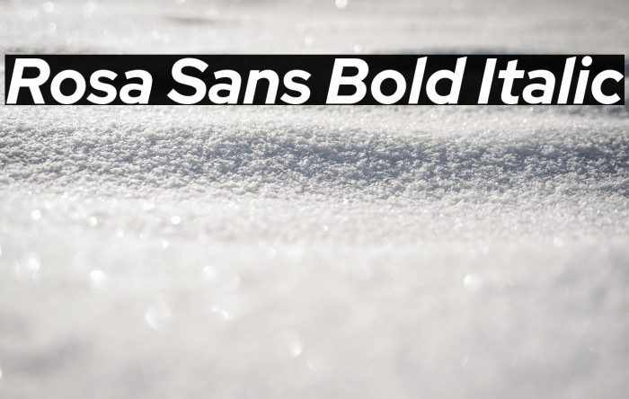 Rosa Sans Bold Italic Example 2