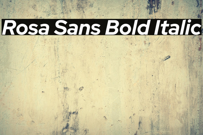 Rosa Sans Bold Italic Example 3