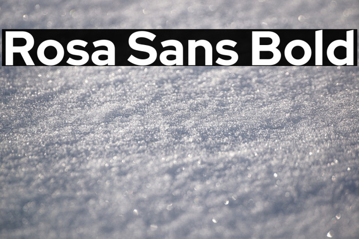 Rosa Sans Bold Example 2