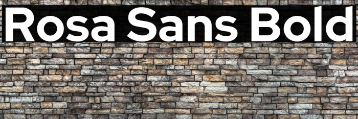 Rosa Sans Bold Example 3