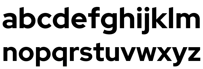 Rosa Sans Bold Font LOWERCASE