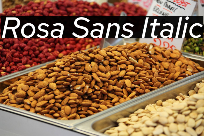 Rosa Sans Italic Example 1