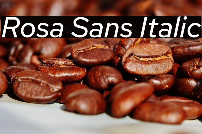 Rosa Sans Italic Example 2