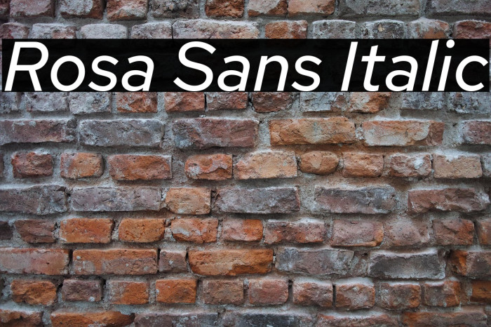 Rosa Sans Italic Example 3