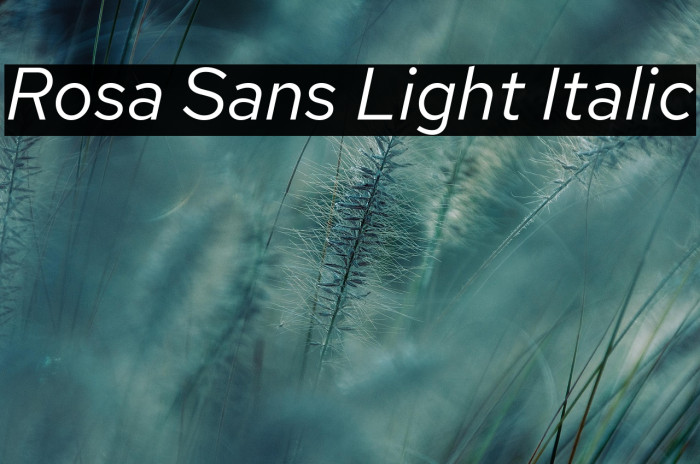 Rosa Sans Light Italic Example 1