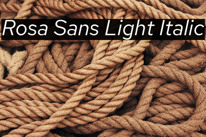Rosa Sans Light Italic Example 3
