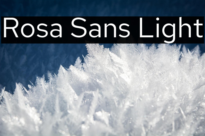 Rosa Sans Light Example 1