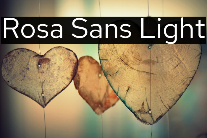 Rosa Sans Light Example 2