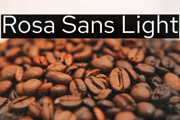 Rosa Sans Light Example 3