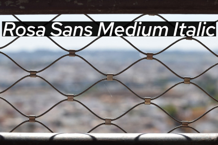 Rosa Sans Medium Italic Example 2