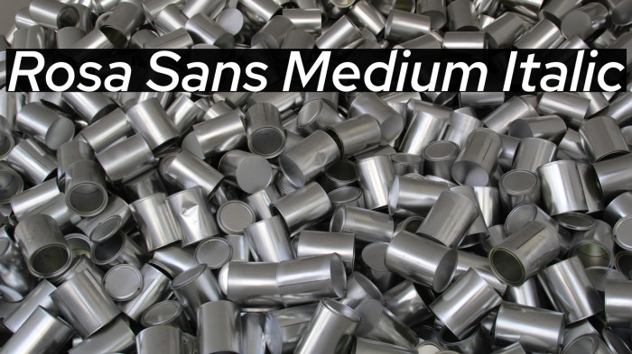 Rosa Sans Medium Italic Example 3