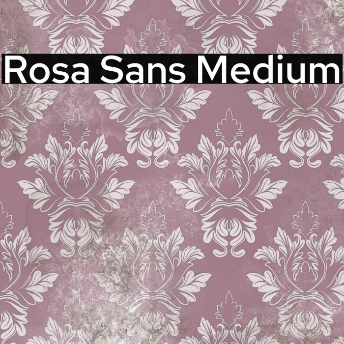 Rosa Sans Medium Example 1