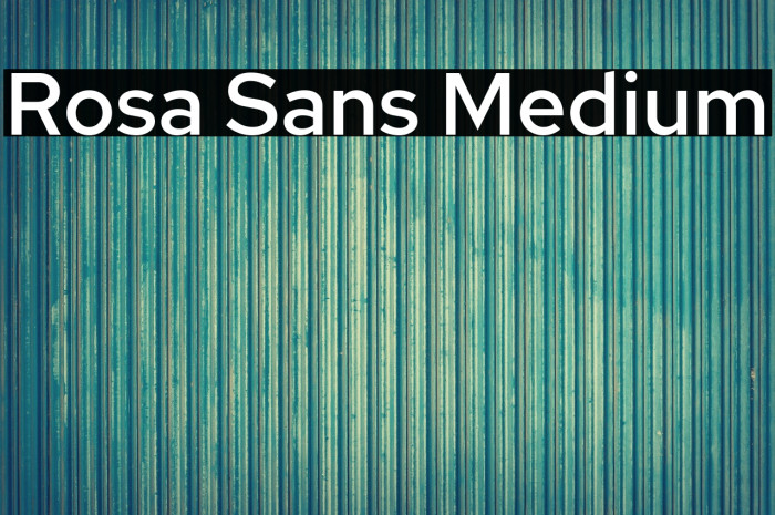 Rosa Sans Medium Example 2