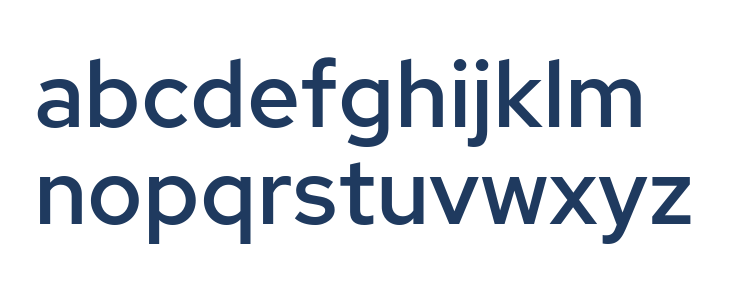 Rosa Sans Medium Lowercase