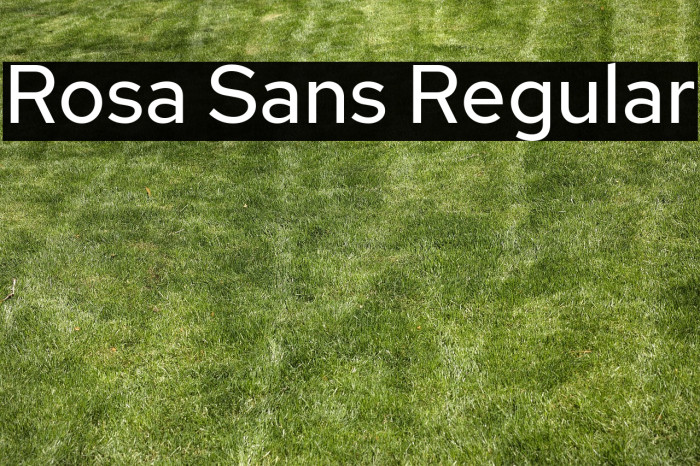 Rosa Sans Regular Example 1