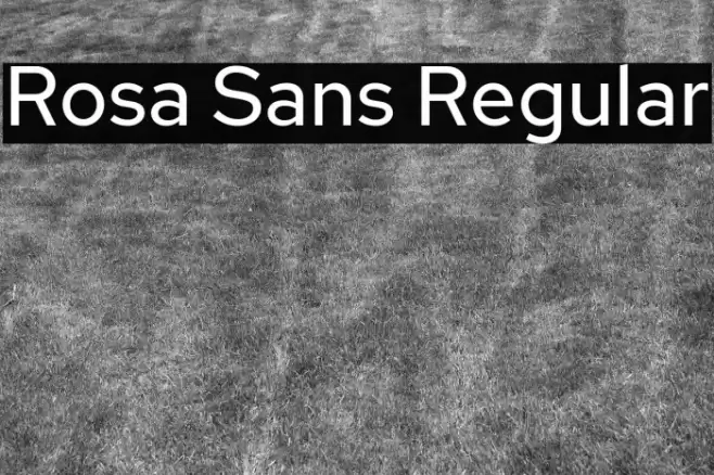 Rosa Sans Regular Font examples