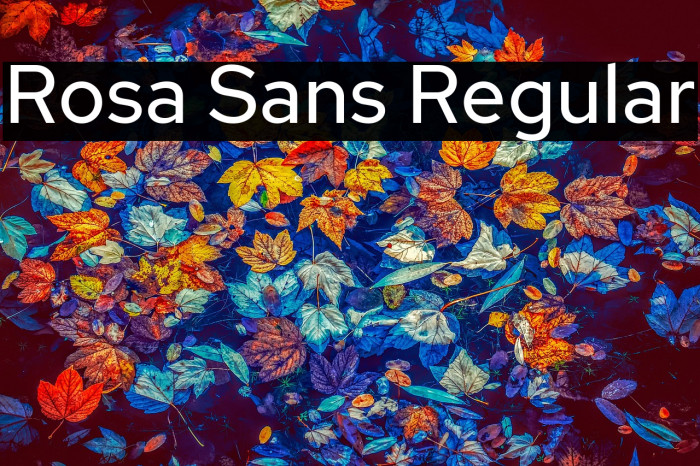Rosa Sans Regular Example 2