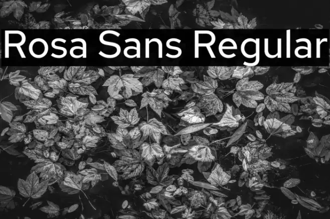 Rosa Sans Regular Font examples