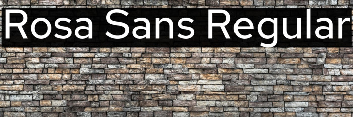 Rosa Sans Regular Example 3