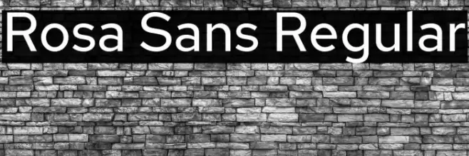 Rosa Sans Regular Font examples