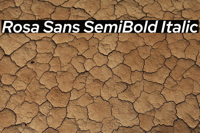 Rosa Sans SemiBold Italic Example 1