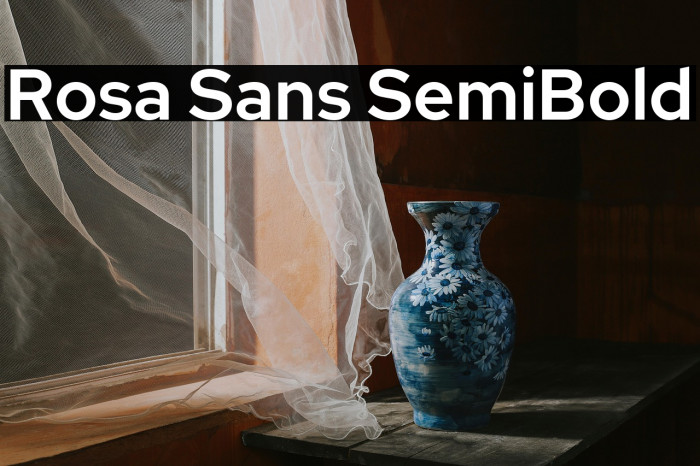 Rosa Sans SemiBold Example 1