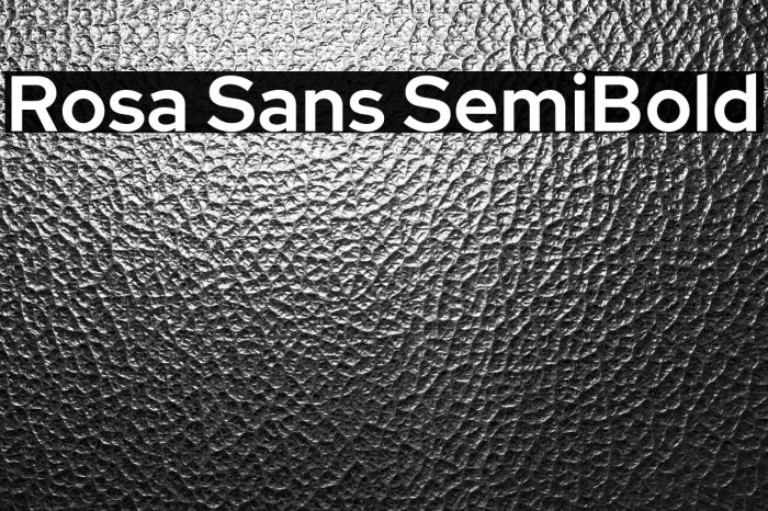 Rosa Sans SemiBold Example 2
