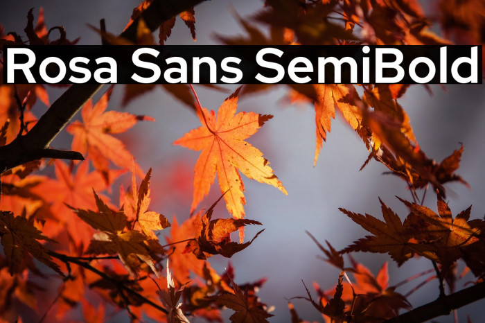 Rosa Sans SemiBold Example 3