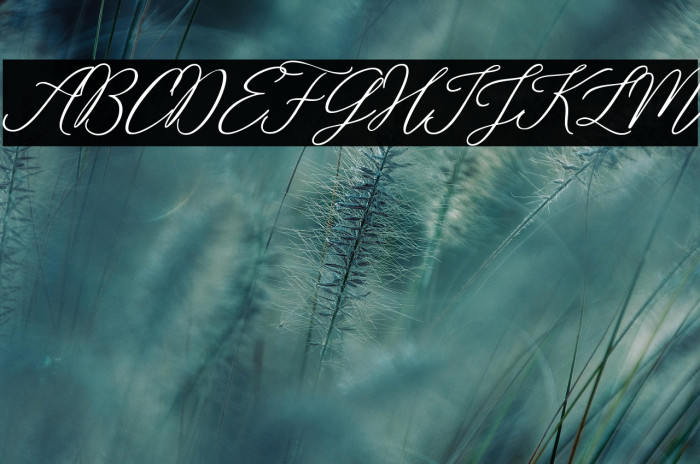 Rosabelia SLDT Example 2