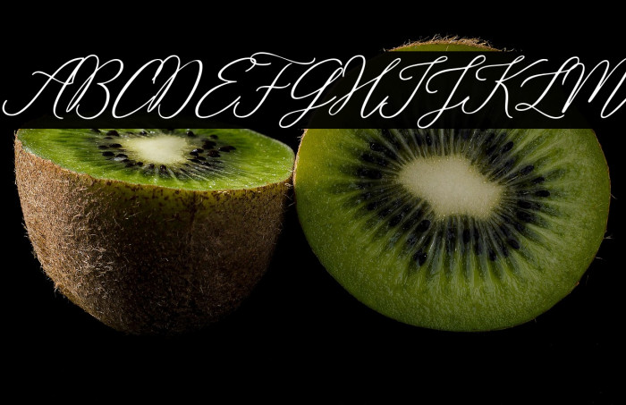 Rosabelia SLDT Example 3