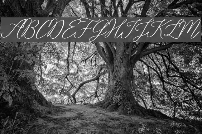 Rosabelia SLDT Font examples