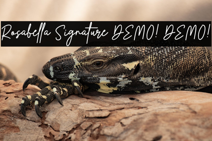 Rosabella Signature DEMO! DEMO! Caratteri examples