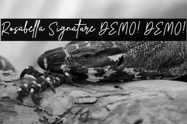 Rosabella Signature DEMO! DEMO! Font examples