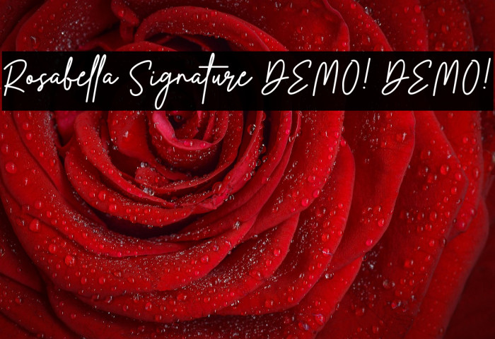 Rosabella Signature DEMO! DEMO! Caratteri examples