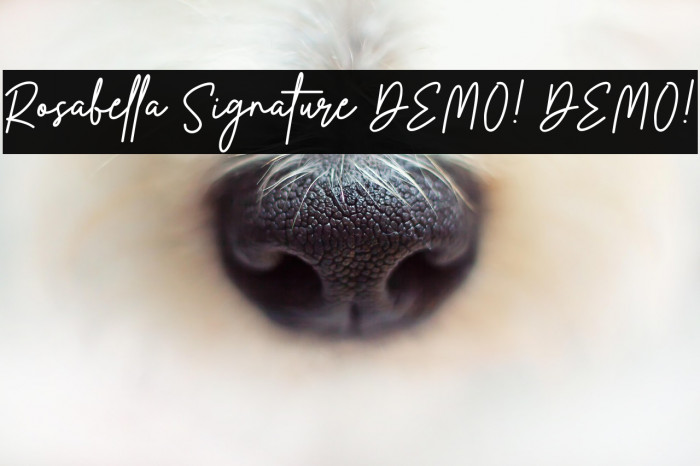 Rosabella Signature DEMO! DEMO! Caratteri examples