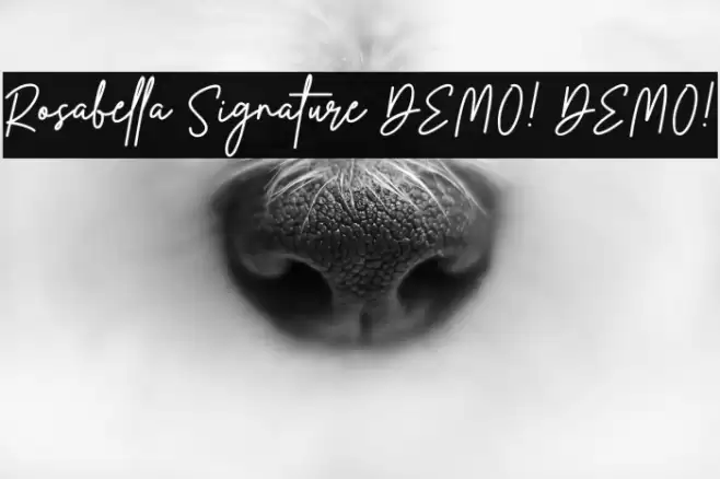 Rosabella Signature DEMO! DEMO! Font examples