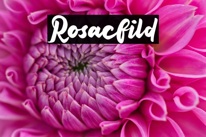 Rosacfild Example 1