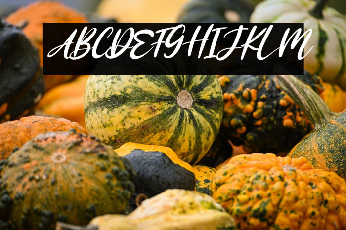 Rosaffina Italic Example 1